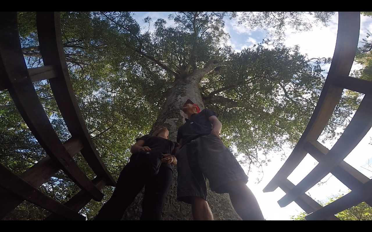 Bildschirmfoto 2015 11 10 um 06.14.45