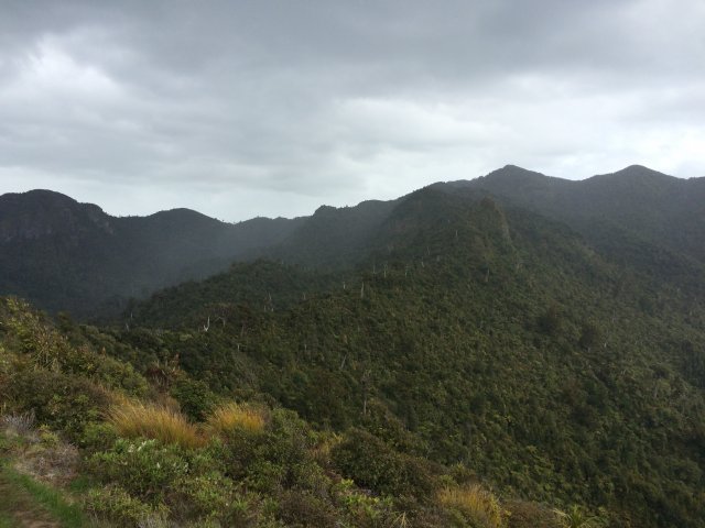 #4 Bridal Veil Falls, Fish&Chips, Ngarunui Beach