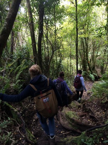 #4 Bridal Veil Falls, Fish&Chips, Ngarunui Beach