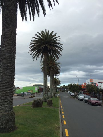 #4 Bridal Veil Falls, Fish&Chips, Ngarunui Beach
