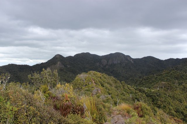 #4 Bridal Veil Falls, Fish&Chips, Ngarunui Beach