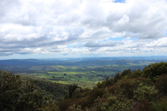 #4 Bridal Veil Falls, Fish&Chips, Ngarunui Beach