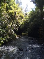 #4 Bridal Veil Falls, Fish&Chips, Ngarunui Beach