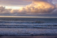 #4 Bridal Veil Falls, Fish&Chips, Ngarunui Beach