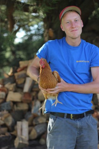 #5 Welpen und Bullen in Waipawa