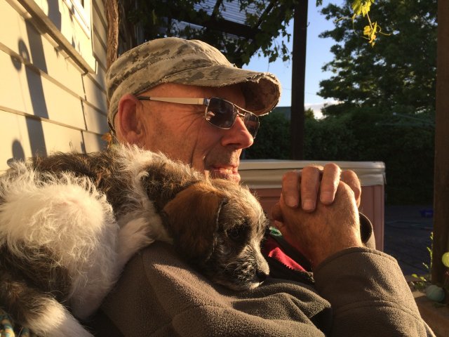 #5 Welpen und Bullen in Waipawa