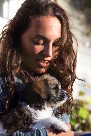 #5 Welpen und Bullen in Waipawa