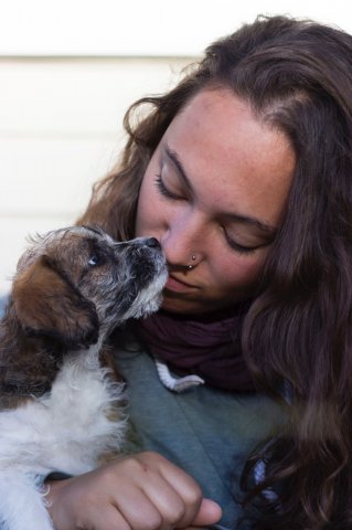 #5 Welpen und Bullen in Waipawa