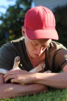 #5 Welpen und Bullen in Waipawa