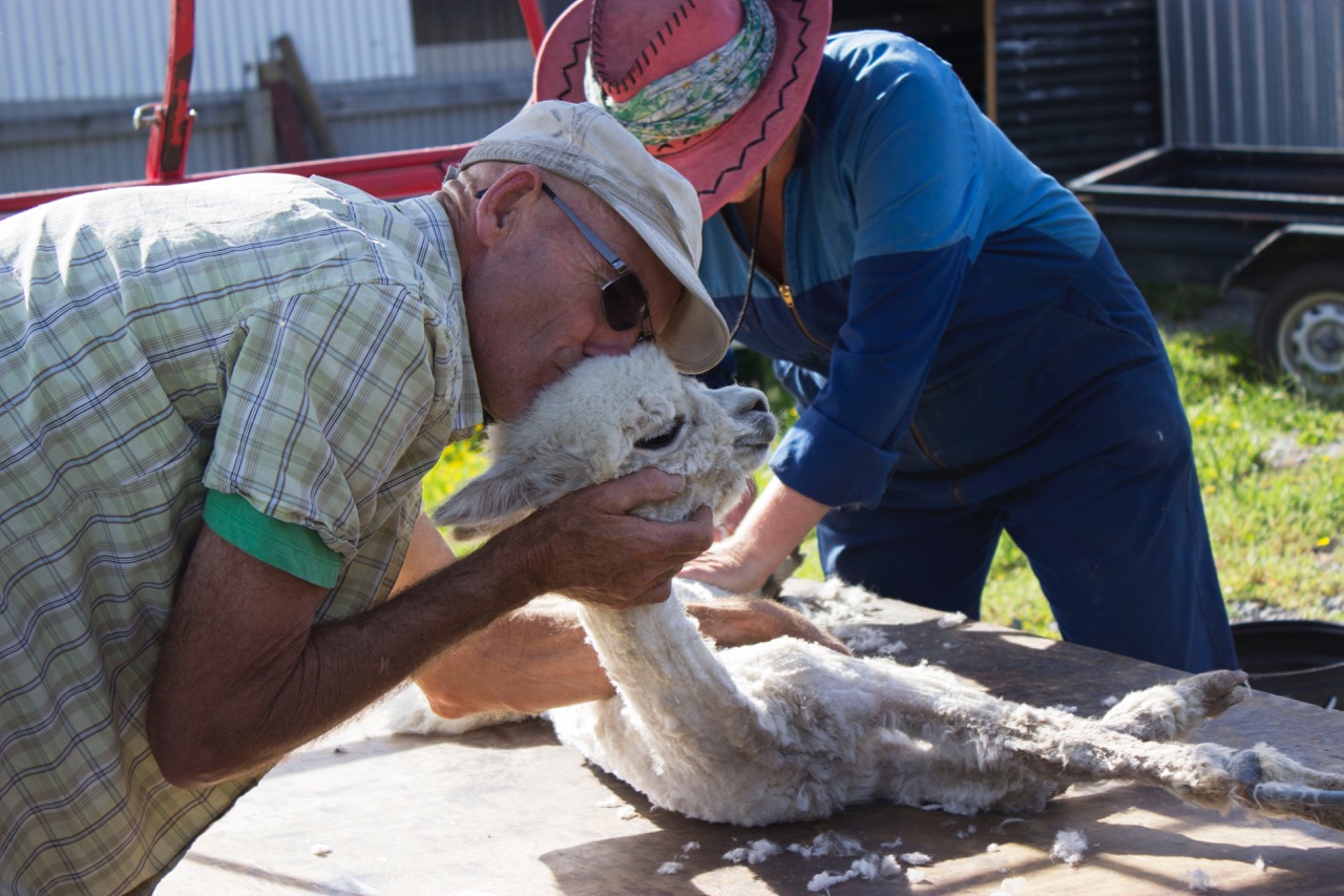 10 matt and theo (1)