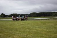 #7 Pferdewetten am Nikolaustag