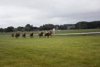 #7 Pferdewetten am Nikolaustag