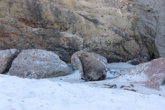 #8 Von Norden nach Süden