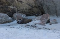 #8 Von Norden nach Süden