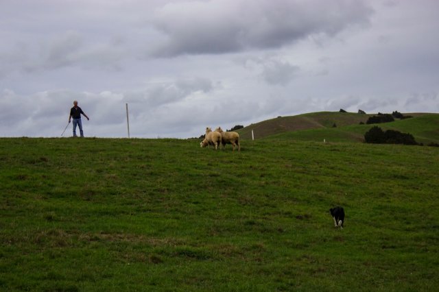 #10 Berge, Seen und Städte