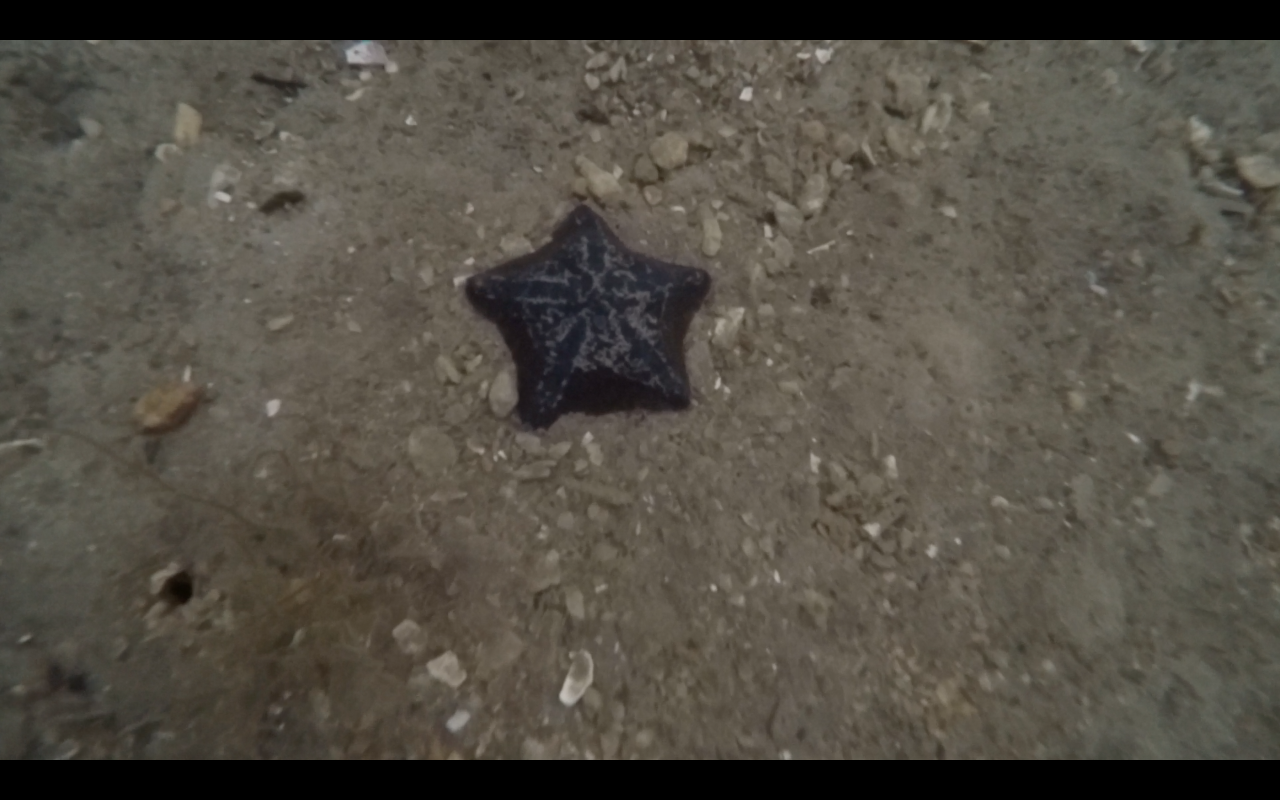 Bildschirmfoto 2016 03 11 um 10.23.54